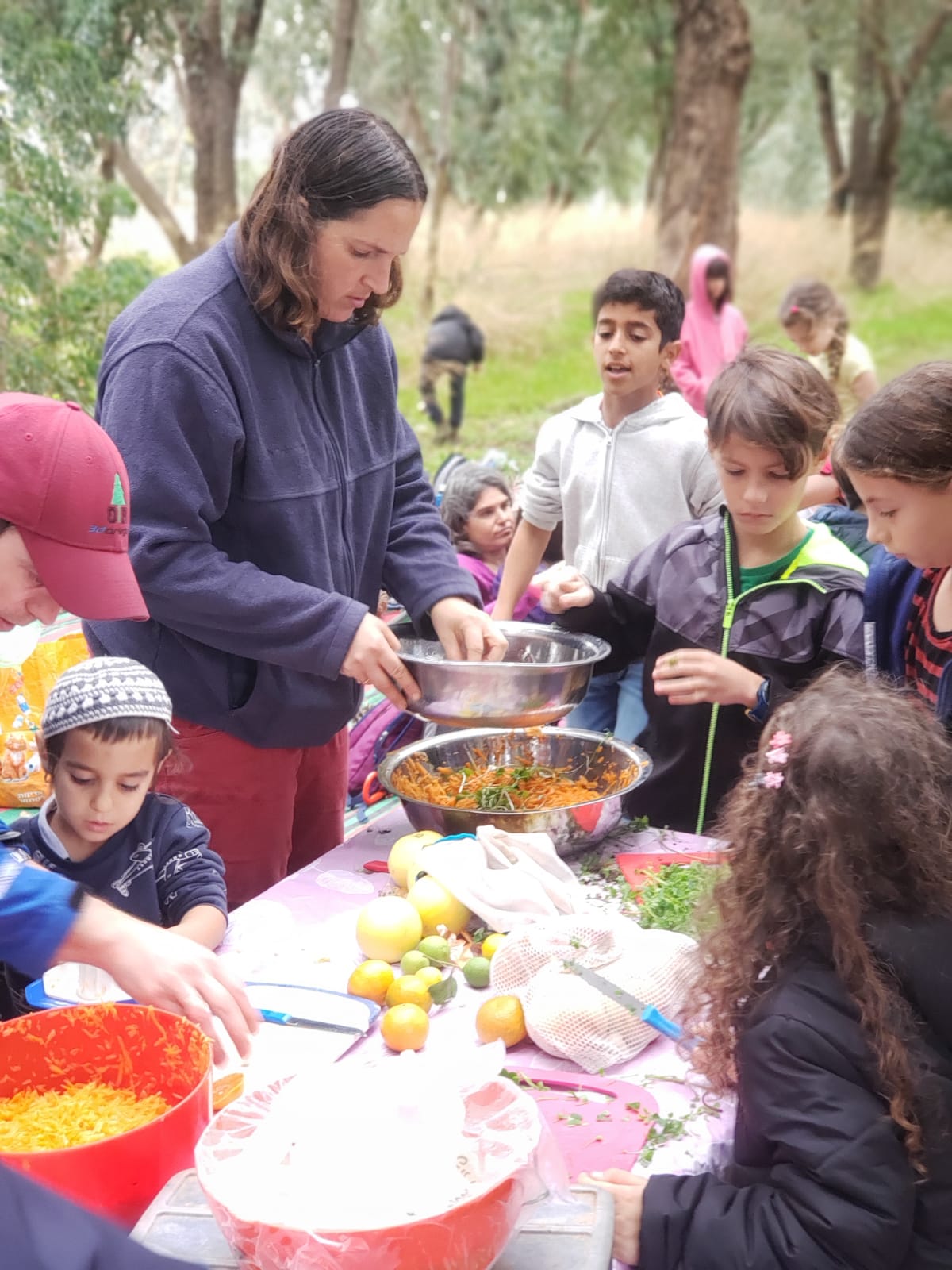 שביל הליקוט – טלאור כהן שביל הליקוט – טלאור כהן