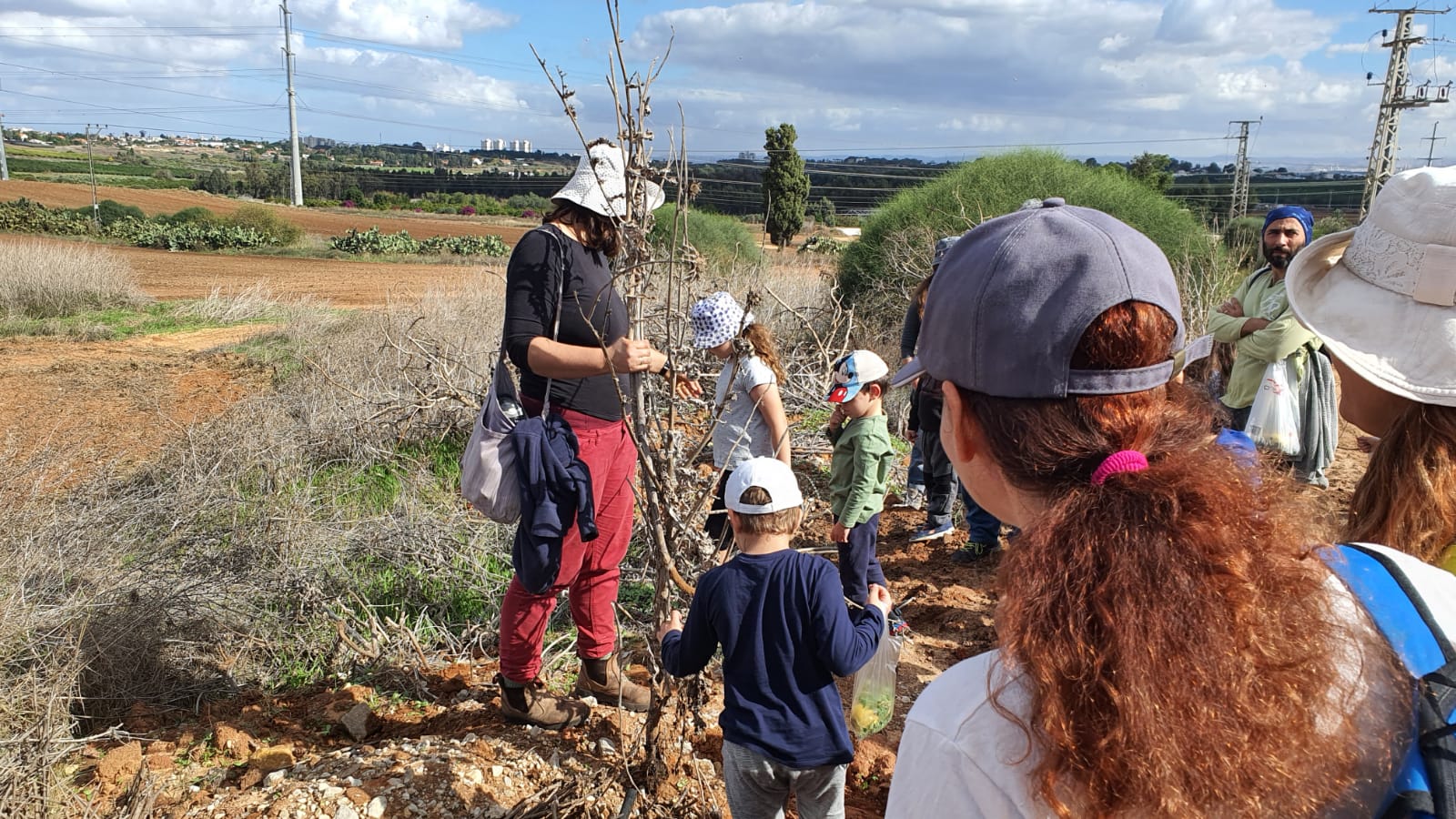 שביל הליקוט – טלאור כהן שביל הליקוט – טלאור כהן