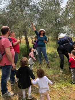 שביל הליקוט – טלאור כהן